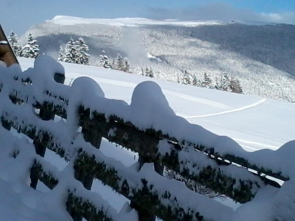 Garni Kostner Hotel Ortisei Kültér fotó